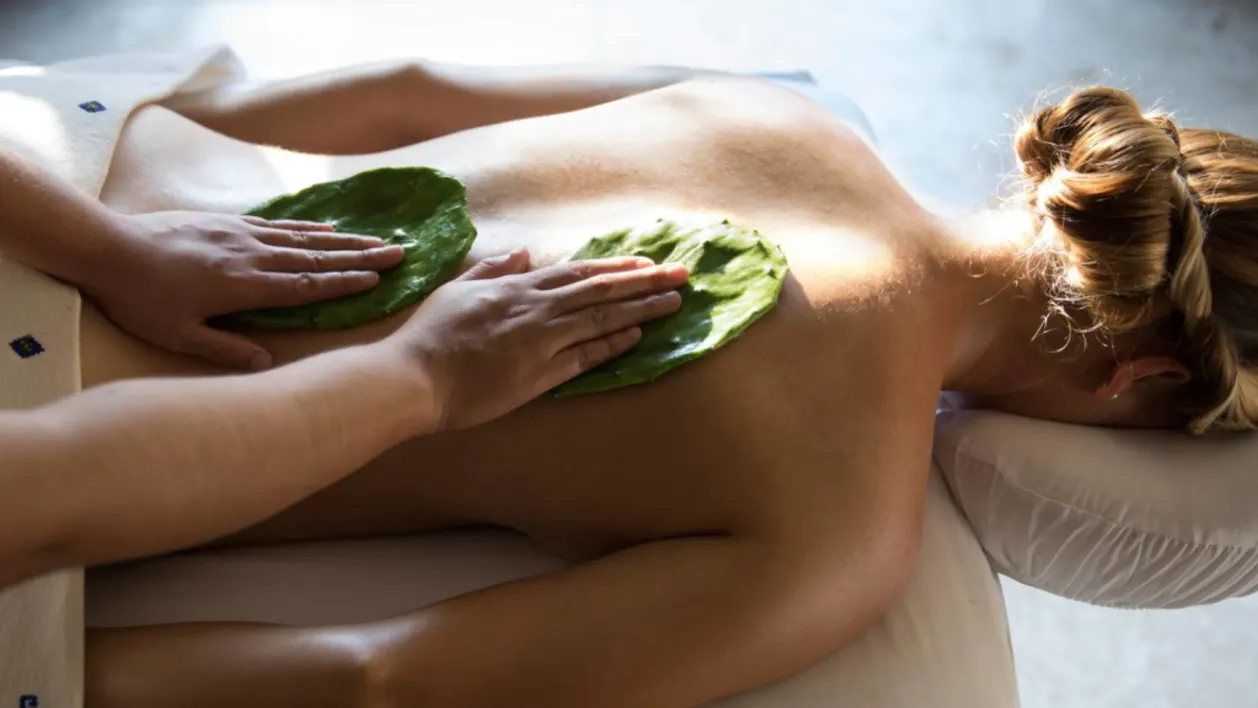 Four Seasons Resort Scottsdale nopal-massage